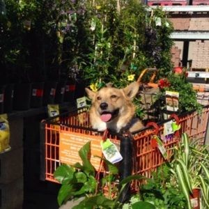 Meet your Posher, Celine